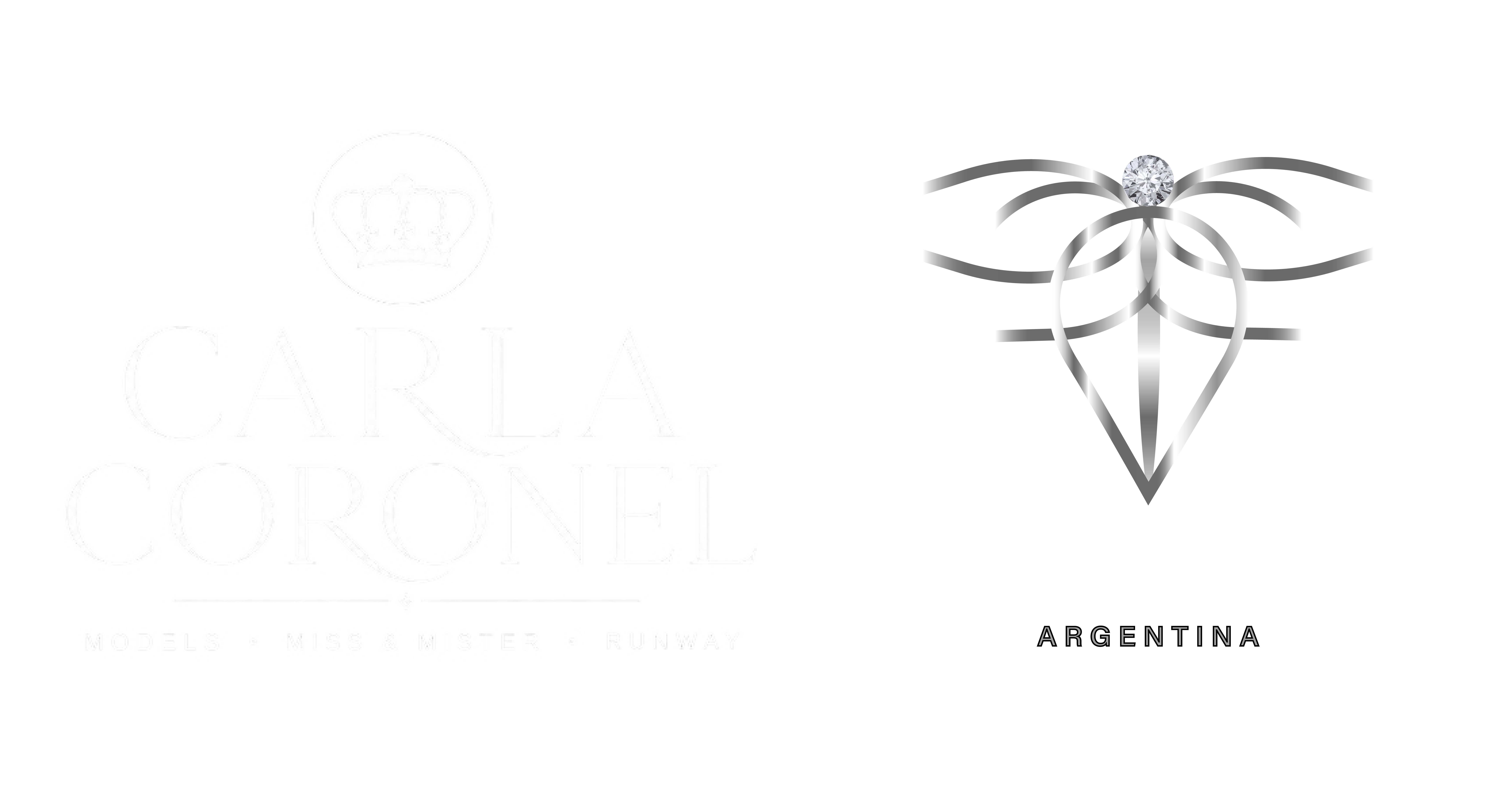 Logo Level Models